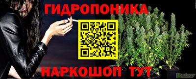 индика Кумертау