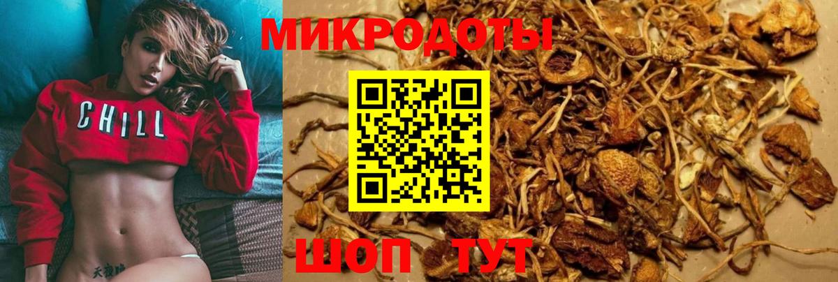 Псилоцибиновые грибы прущие грибы  Галлюциногенные грибы Cubensis  Вход с VPN  Кизляр 