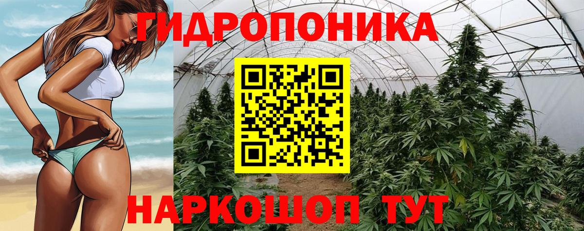 Конопля LSD WEED  Вход с VPN  Бошки Шишки тримм  Кизляр  МАРИХУАНА Amnesia 